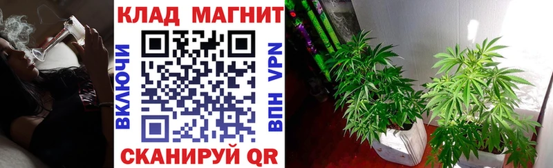 Где купить наркоту Кола Альфа ПВП  Канабис  Меф  Гашиш 