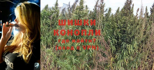 PSILOCYBIN Алексин
