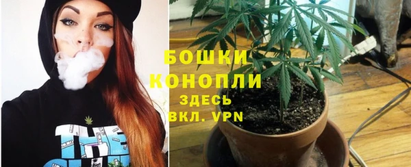 трава Алзамай