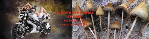 прущие крисы Нягань